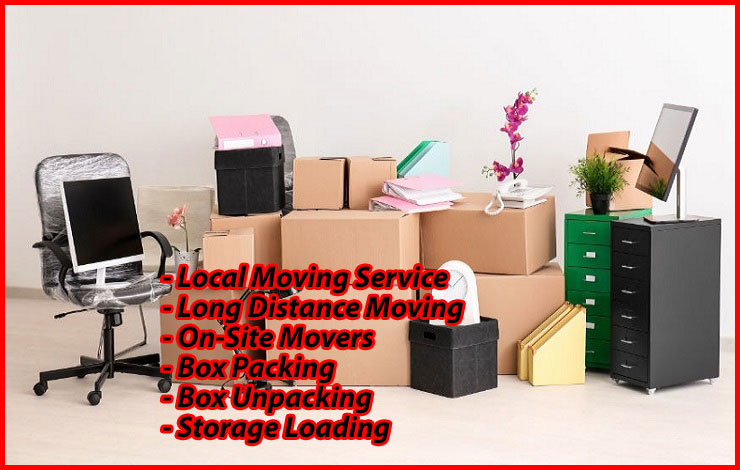 Packers And Movers Noida Sector 143